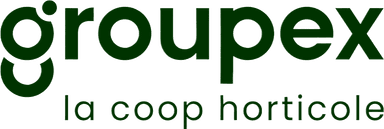 GroupeX