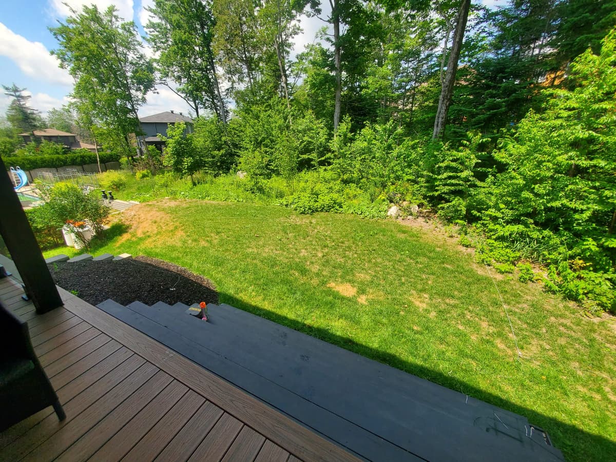 Avant les travaux — cour arrière gazonnée et non aménagée, bordée d’arbres et de végétation